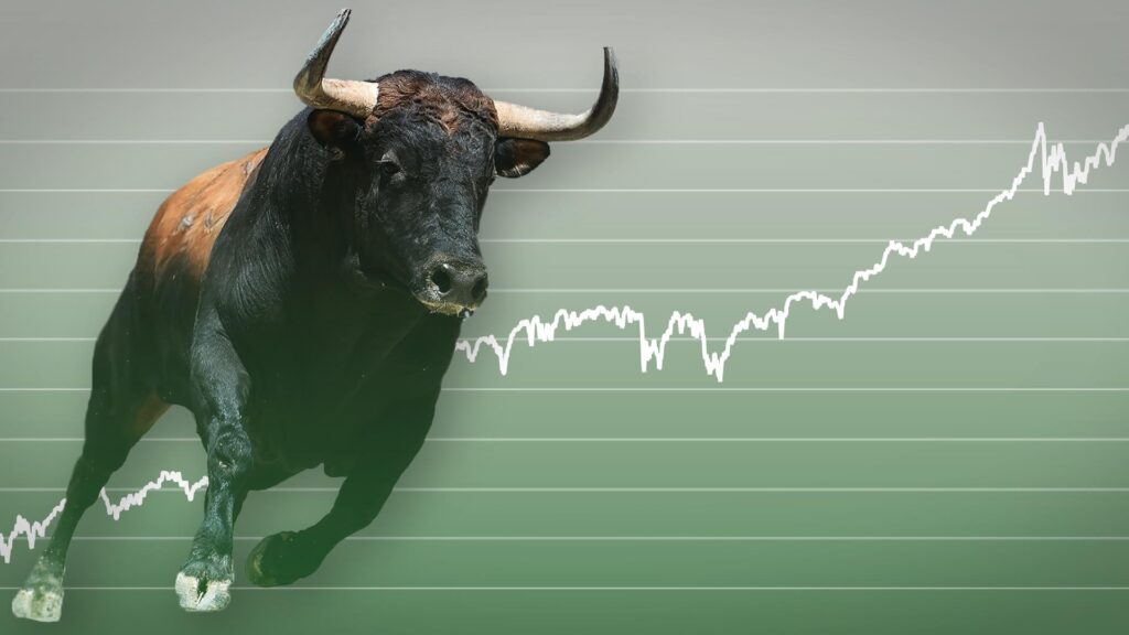 pms bull run