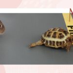 investing consistent